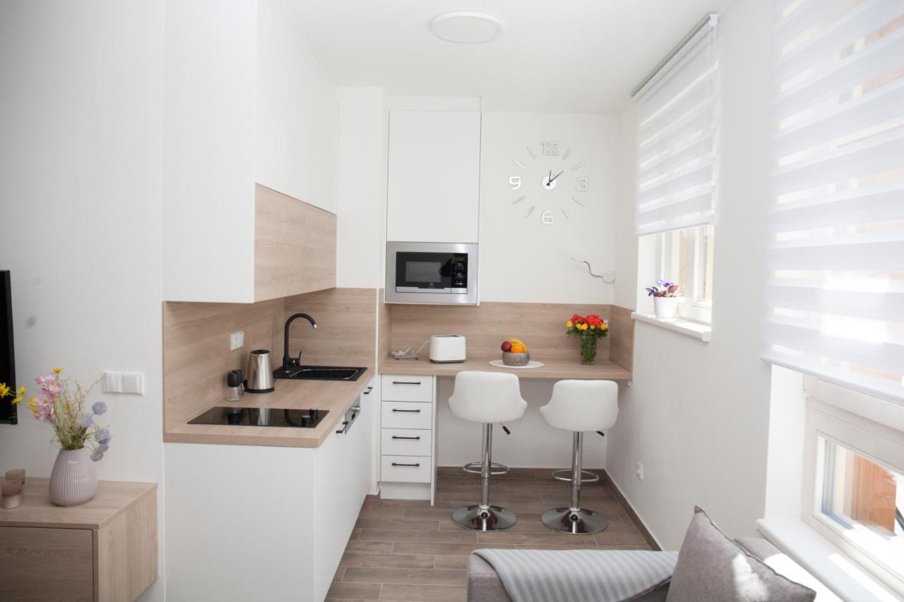 Apartman Horni Misecky J4 エクステリア 写真